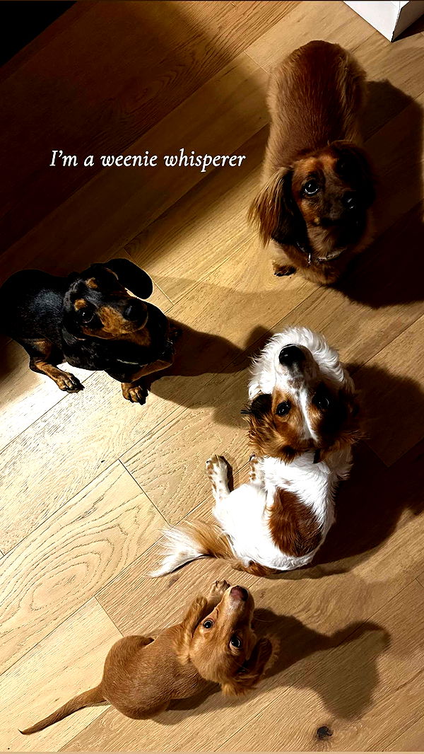 laurenj.fit image ~ Altpins