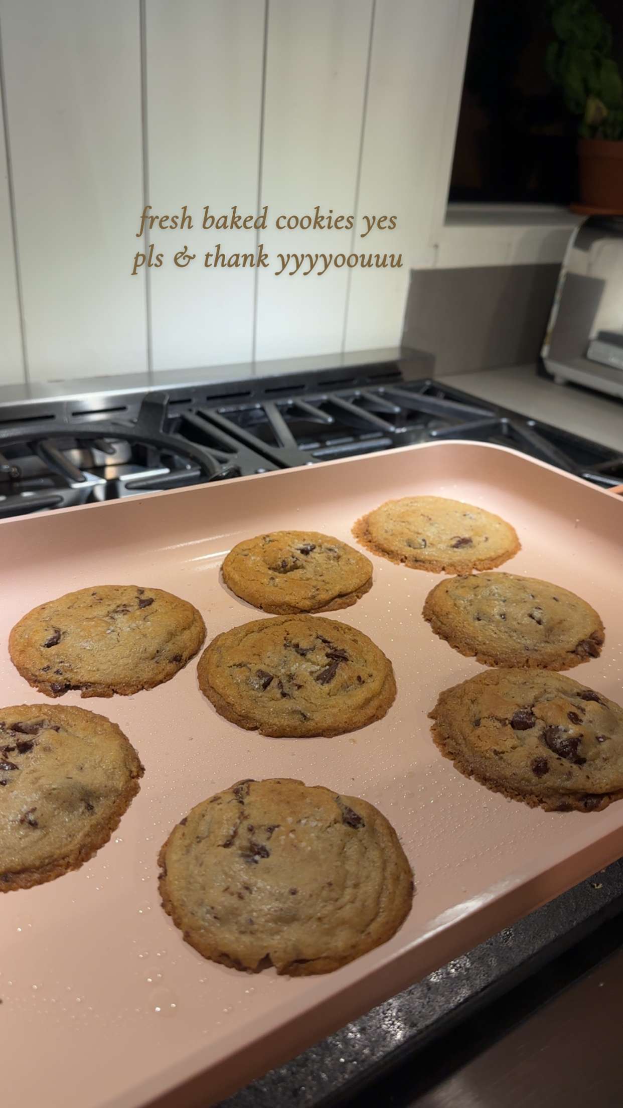 laurenj.fit snapchat image archive image