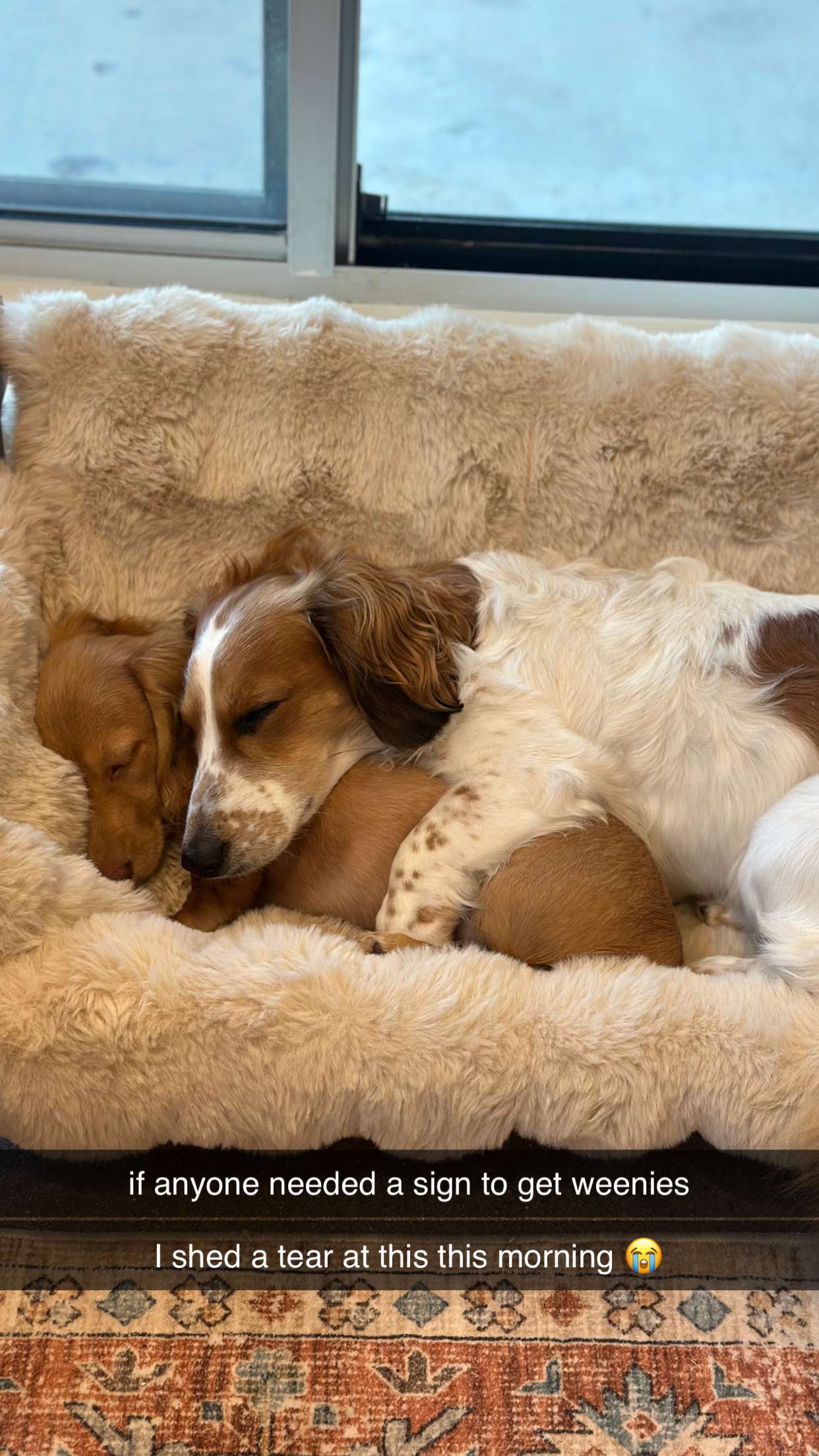 laurenj.fit snapchat image archive image