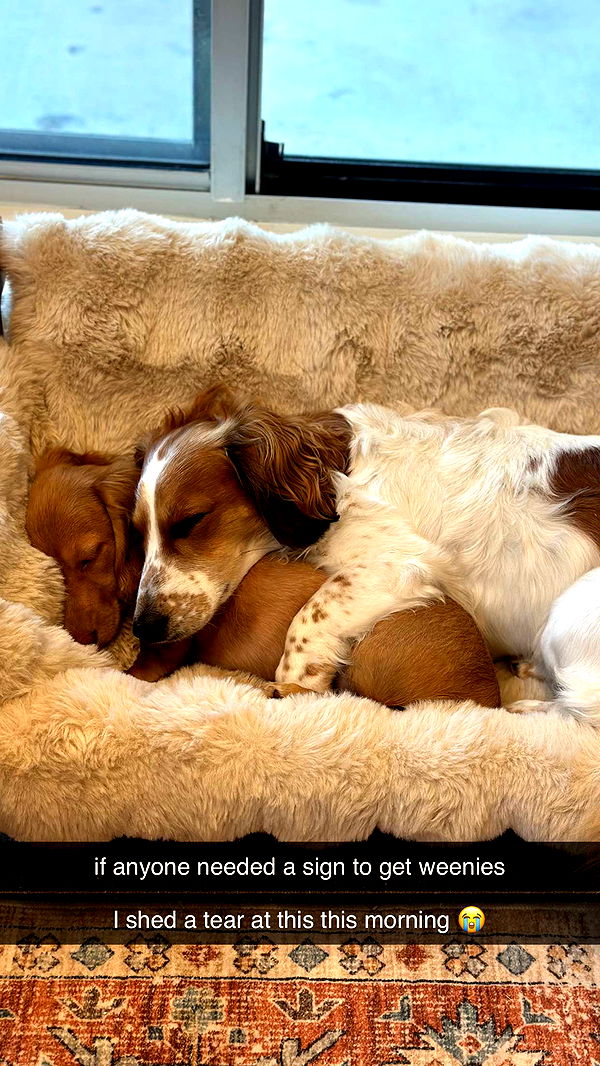 laurenj.fit image ~ Altpins