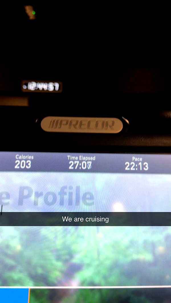 laurenj.fit image ~ Altpins