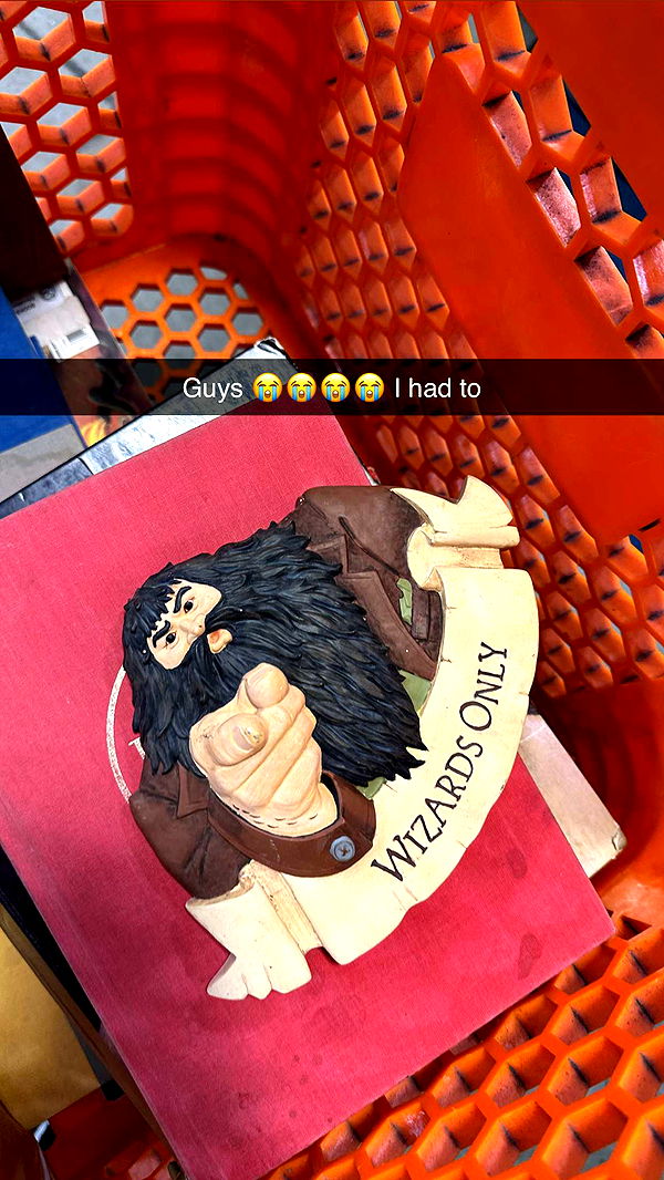 laurenj.fit image ~ Altpins