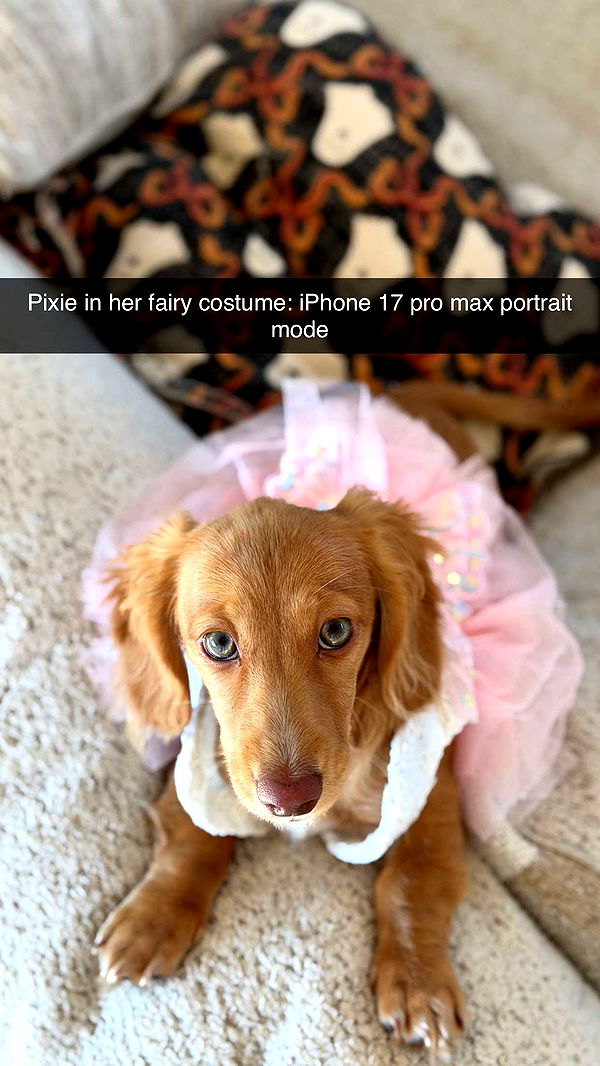 laurenj.fit image ~ Altpins