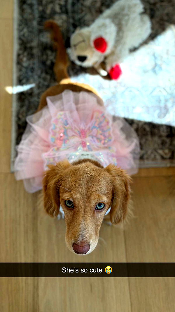 laurenj.fit image ~ Altpins