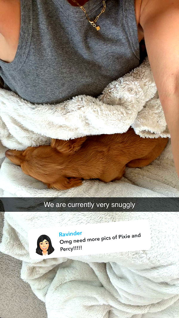 laurenj.fit image ~ Altpins