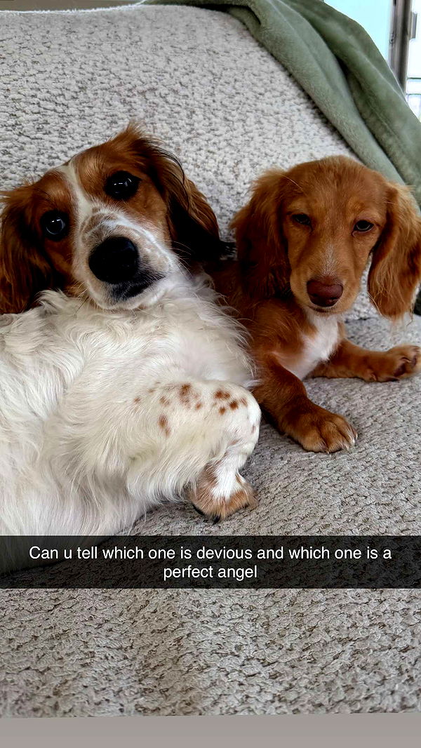 laurenj.fit image ~ Altpins