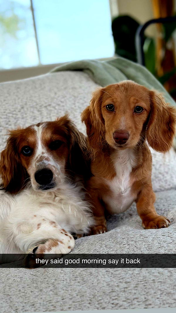 laurenj.fit image ~ Altpins