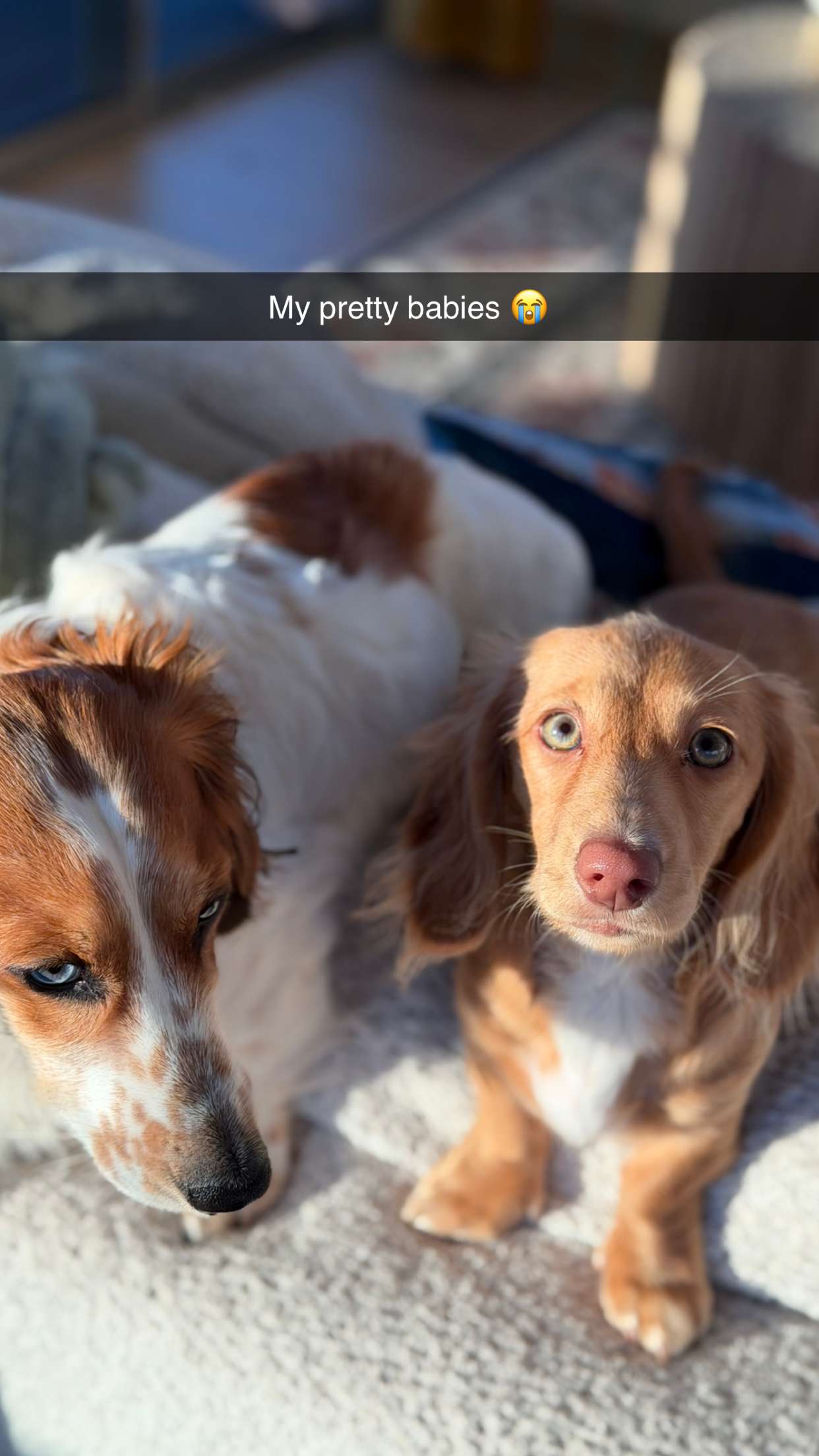 laurenj.fit snapchat image archive image