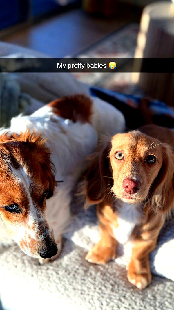 laurenj.fit image ~ Altpins