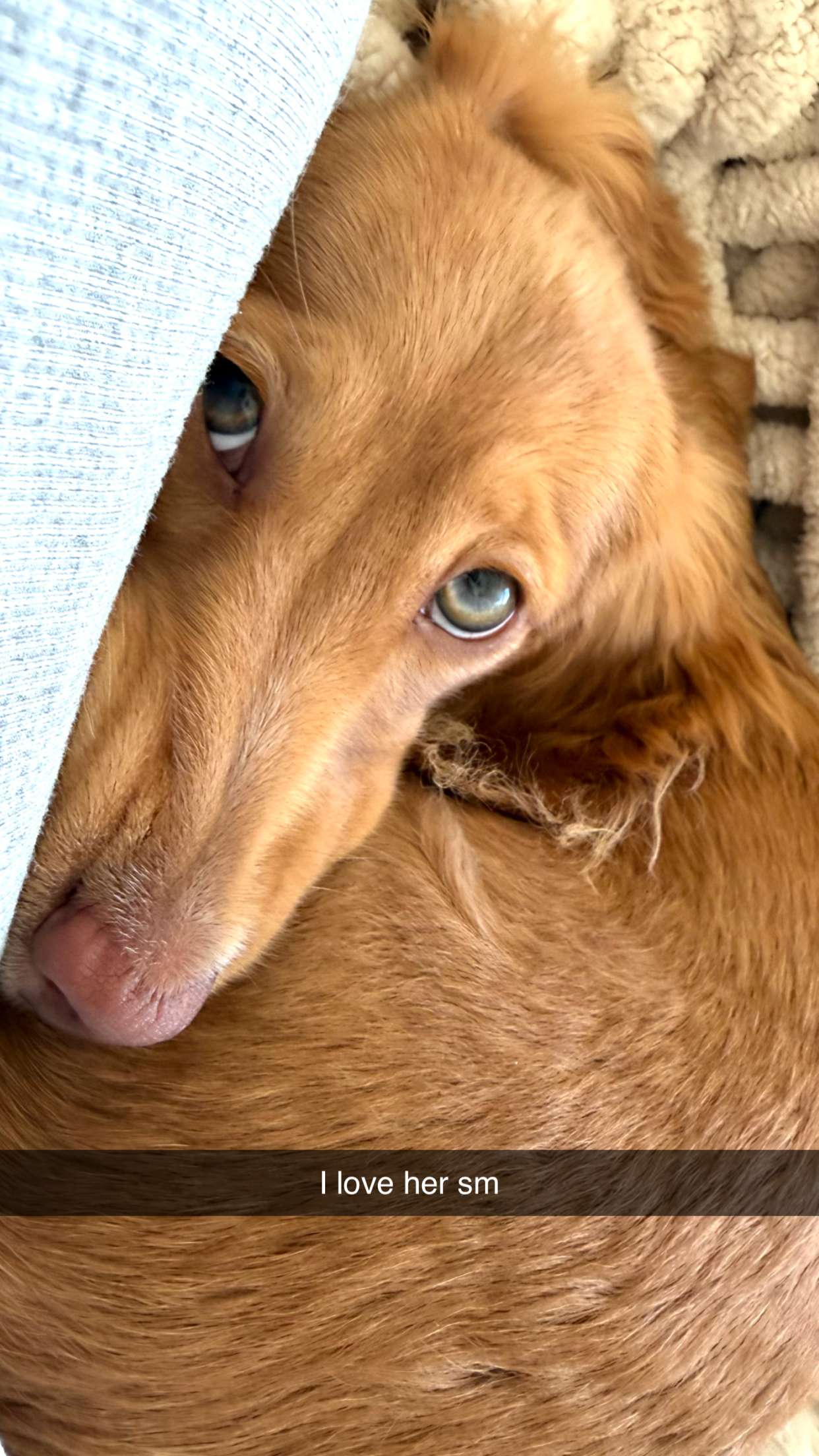 laurenj.fit snapchat image archive image