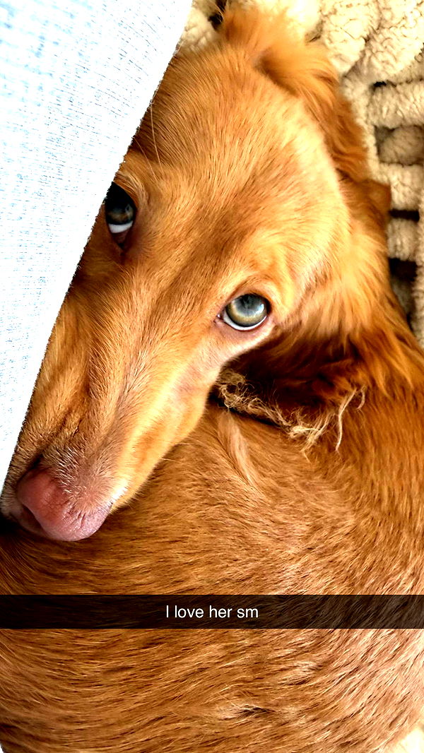 laurenj.fit image ~ Altpins