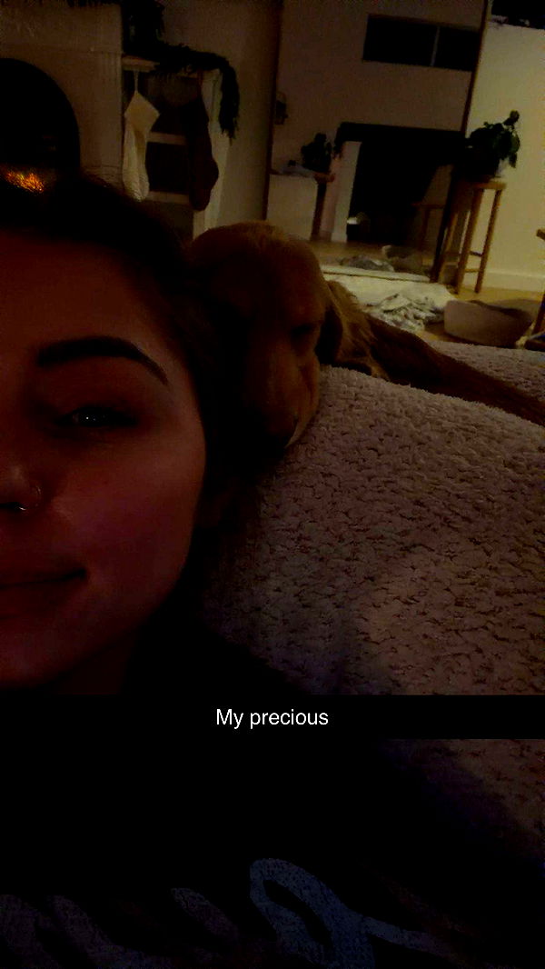 laurenj.fit image ~ Altpins