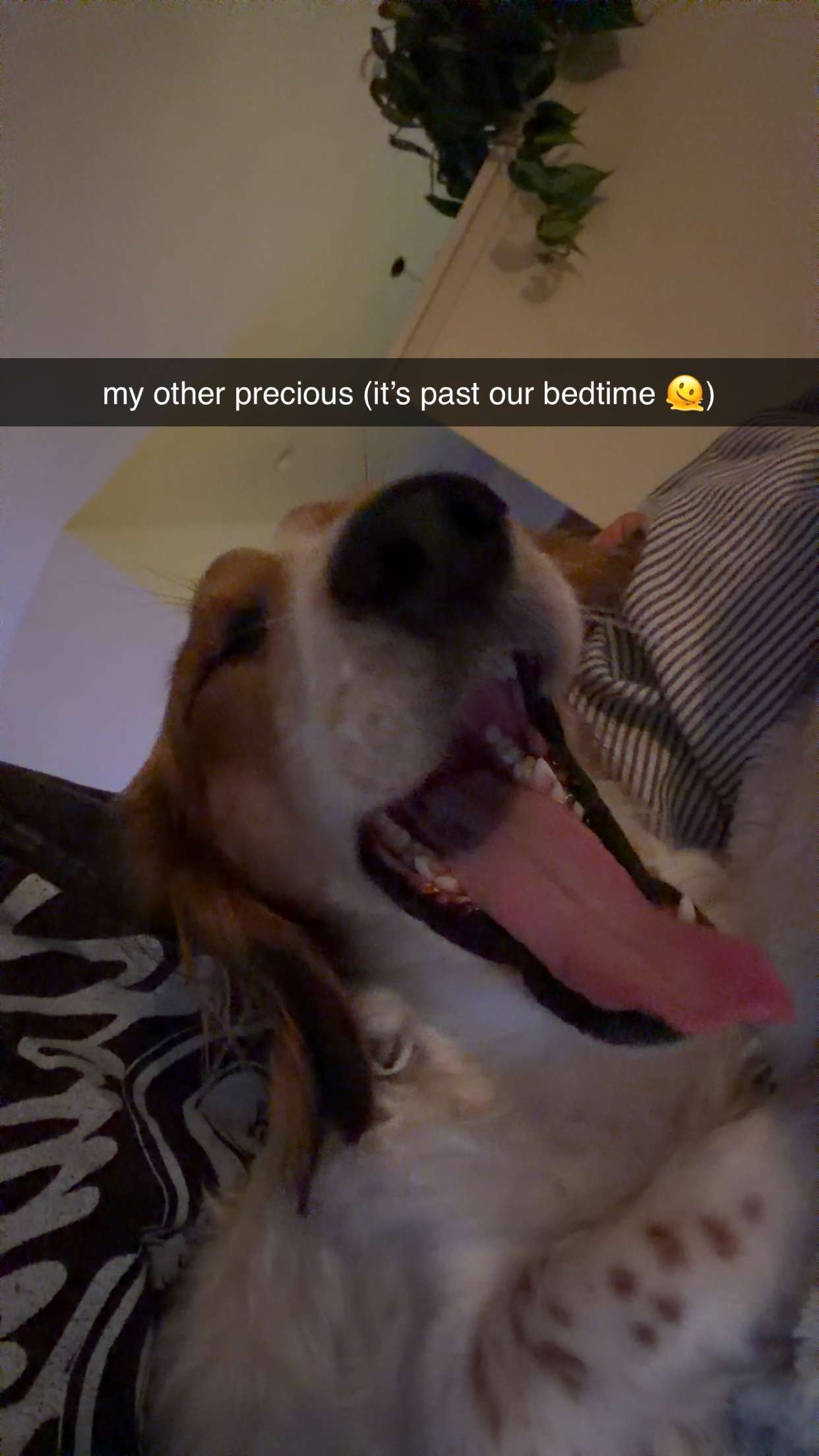 laurenj.fit snapchat image archive image