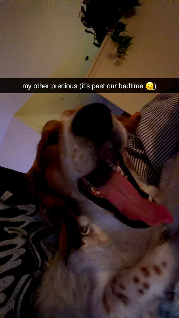 laurenj.fit image ~ Altpins