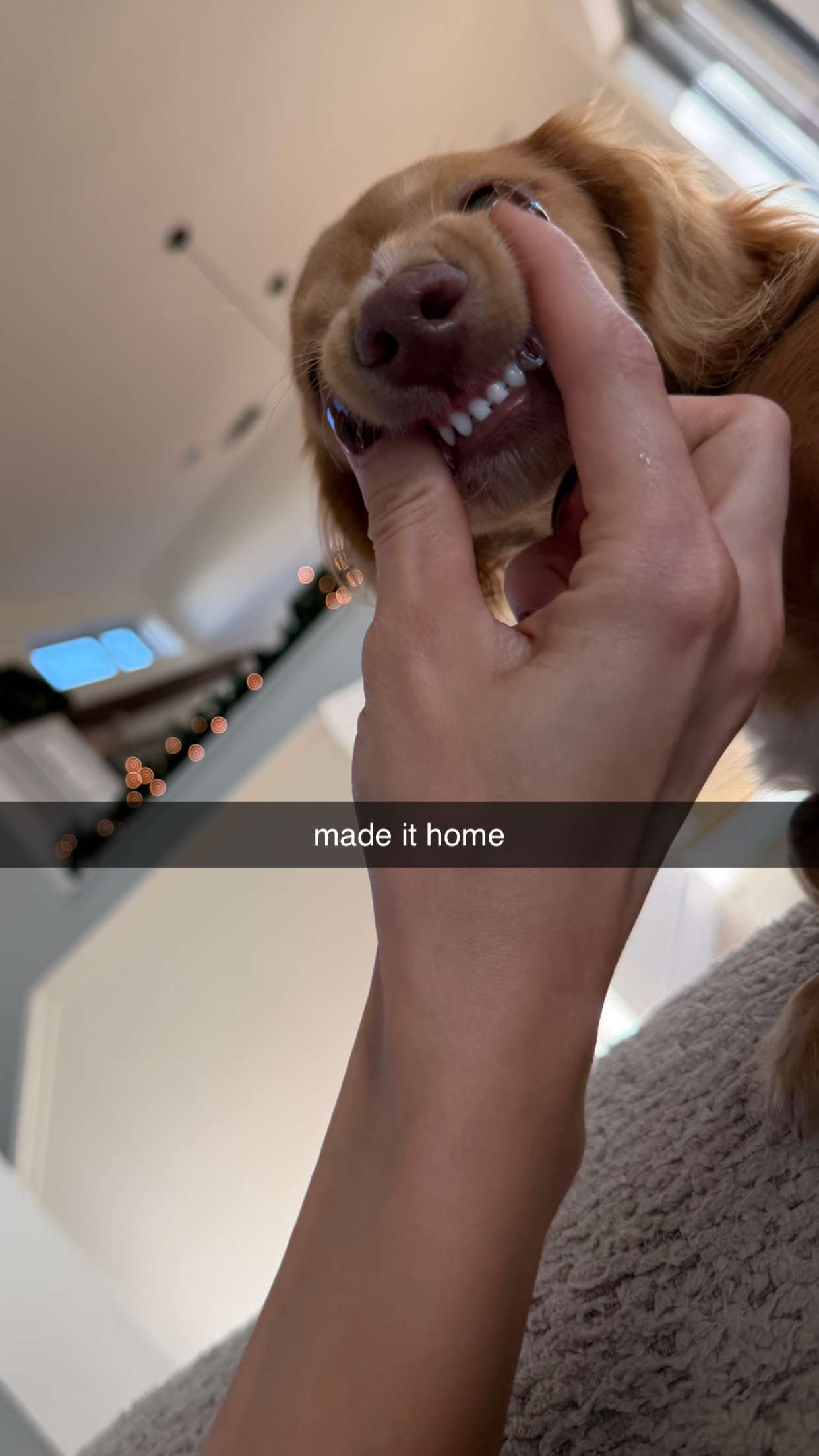 laurenj.fit snapchat image archive image