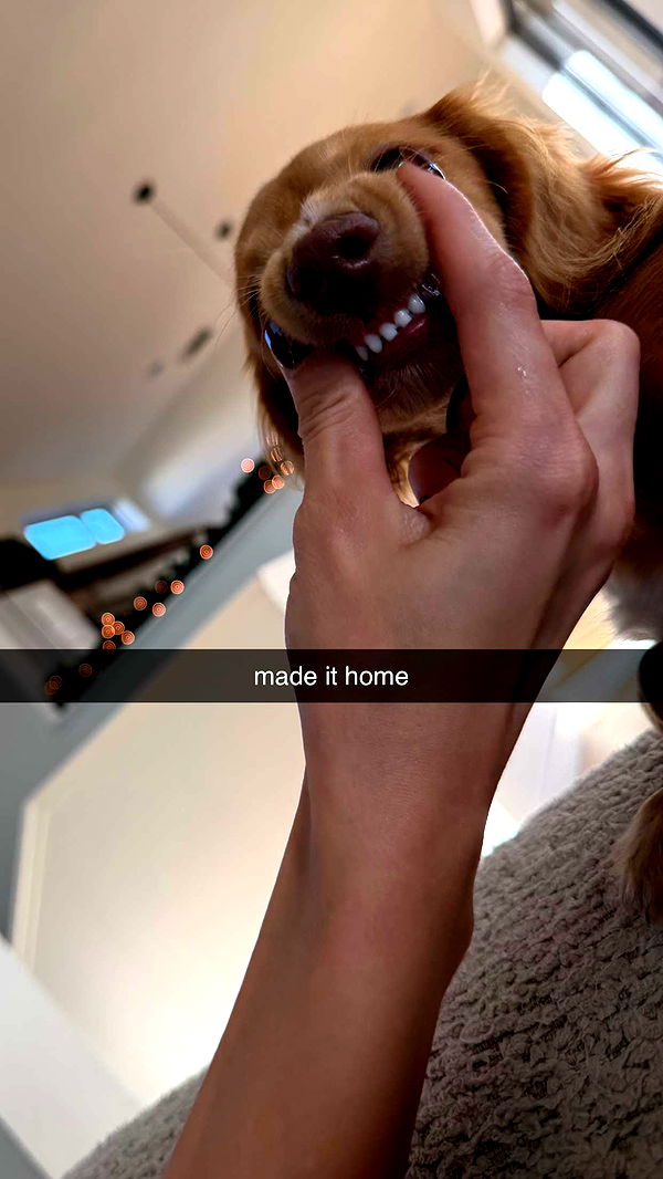 laurenj.fit image ~ Altpins