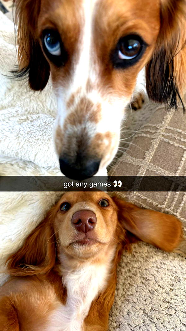 laurenj.fit image ~ Altpins