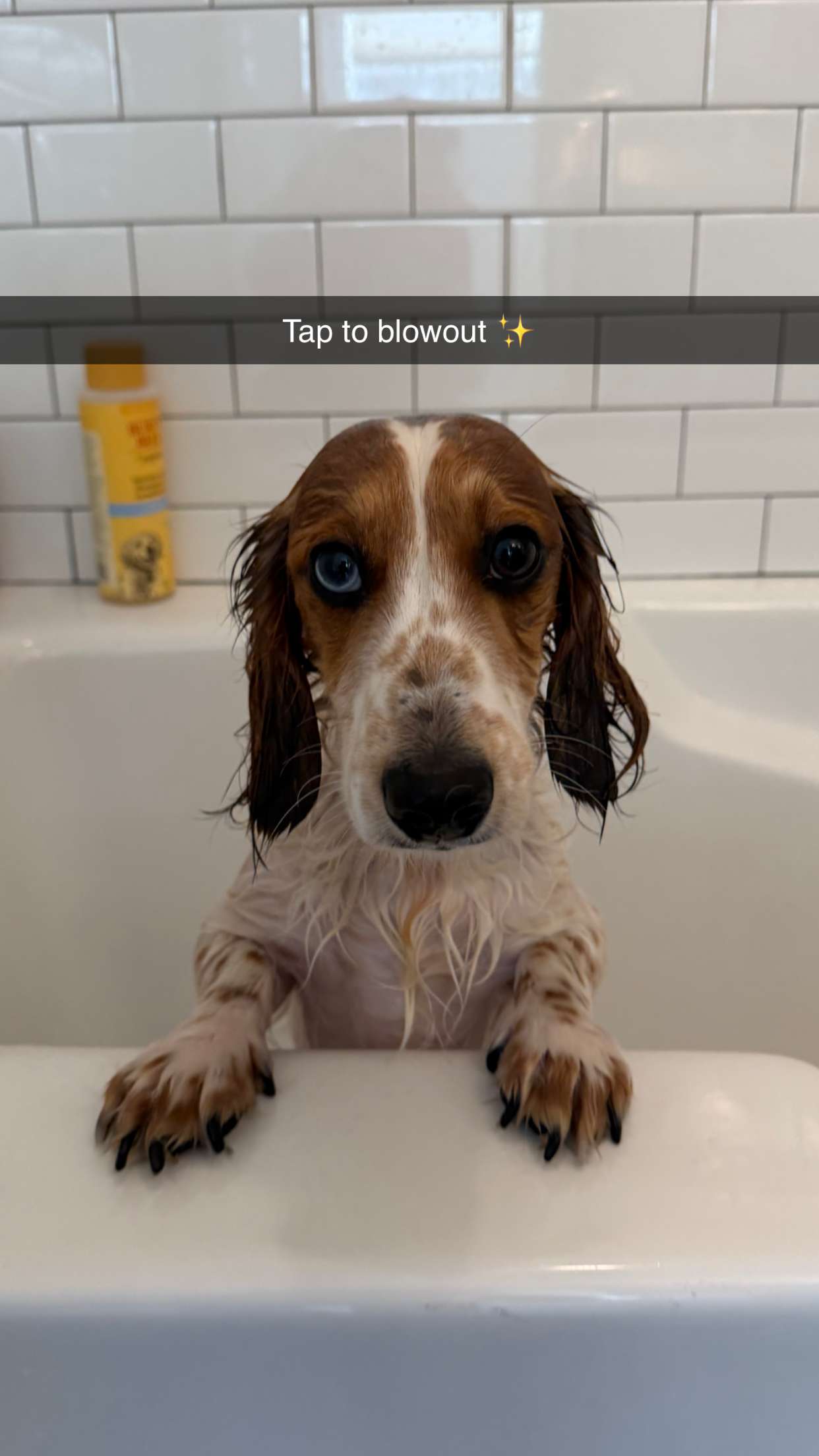 laurenj.fit snapchat image archive image