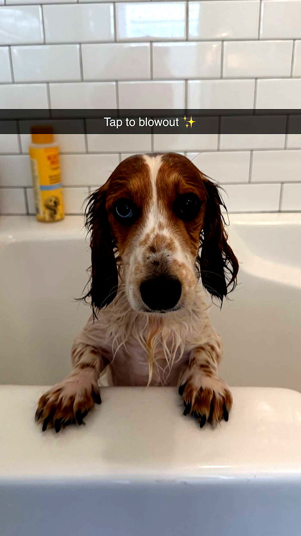 laurenj.fit image ~ Altpins