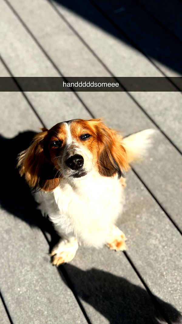 laurenj.fit image ~ Altpins