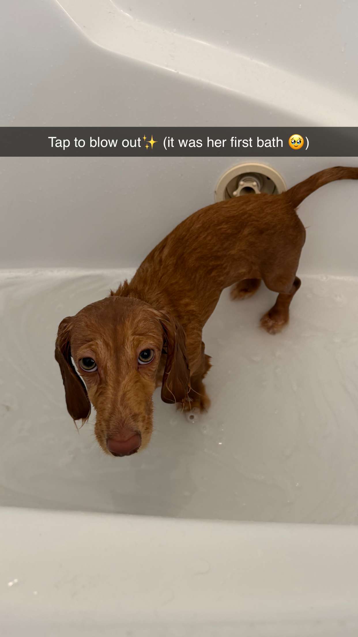 laurenj.fit snapchat image archive image