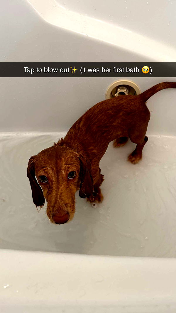 laurenj.fit image ~ Altpins