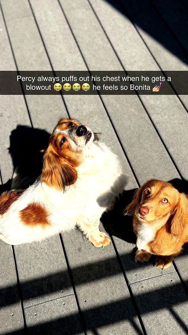 laurenj.fit image ~ Altpins