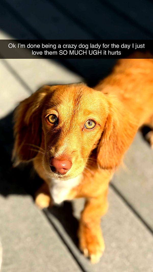 laurenj.fit image ~ Altpins