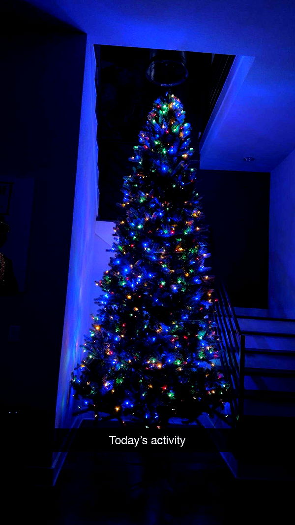 laurenj.fit image ~ Altpins