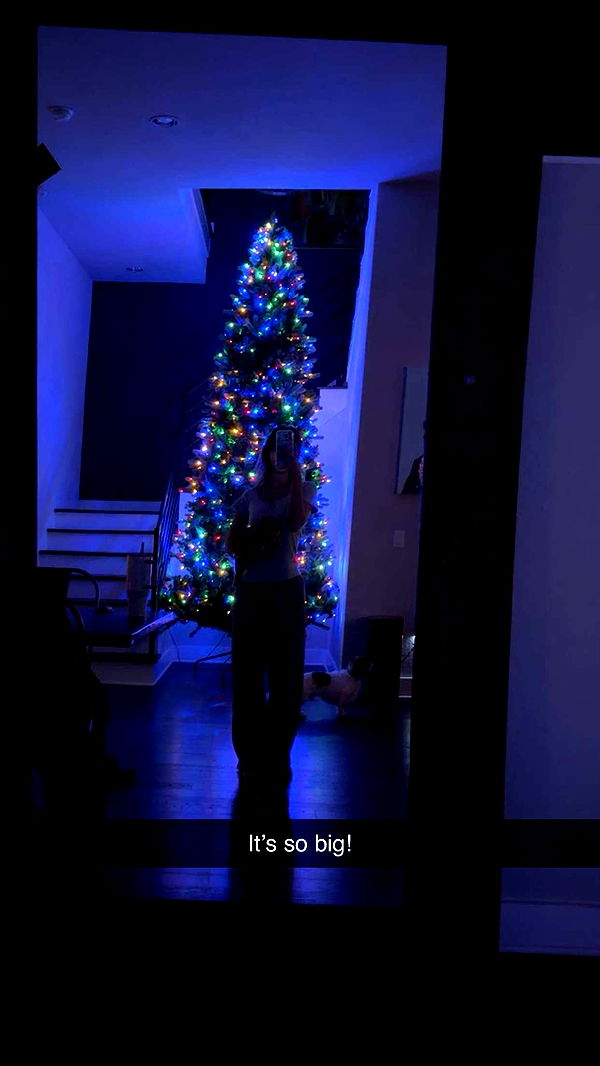 laurenj.fit image ~ Altpins