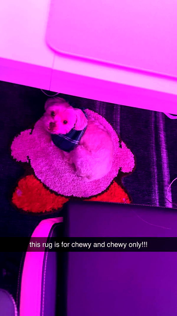 lemsseven snapchat image archive image