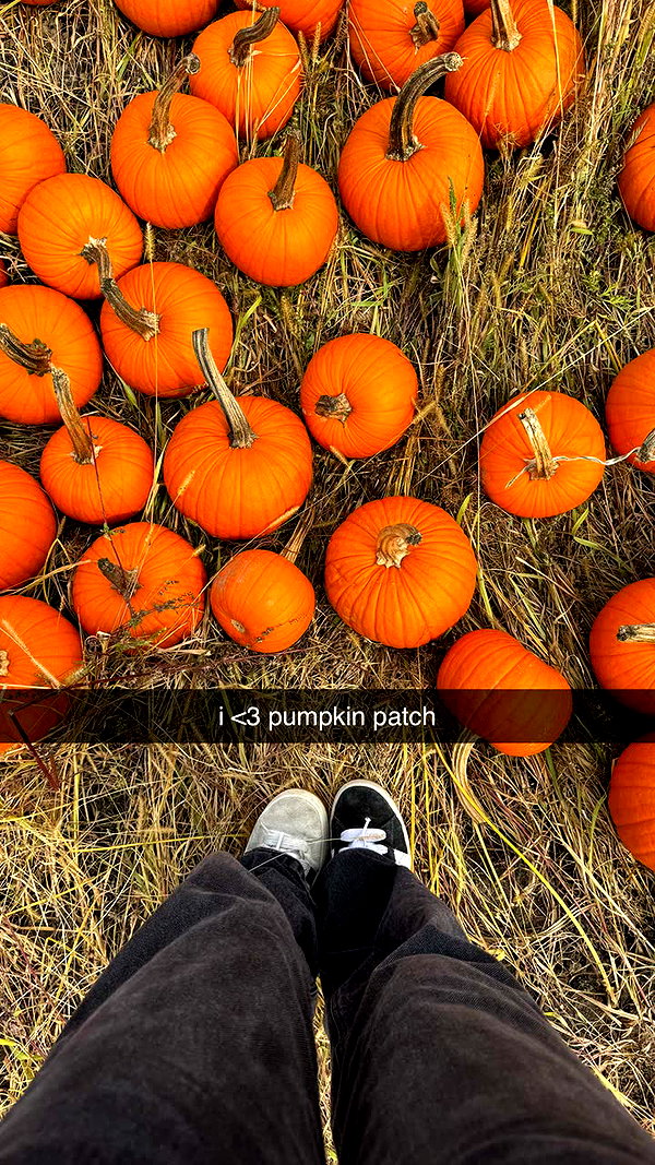 lemsseven snapchat image archive image