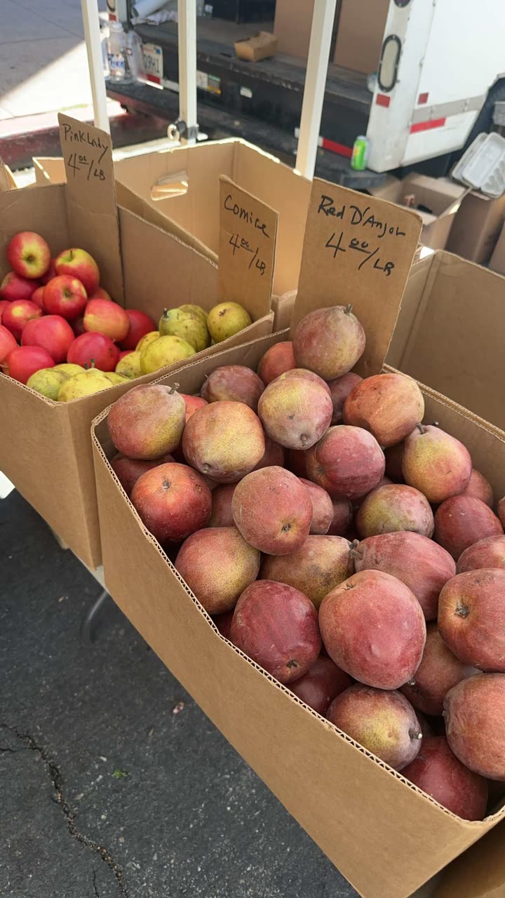 leonanaomii snapchat image archive image