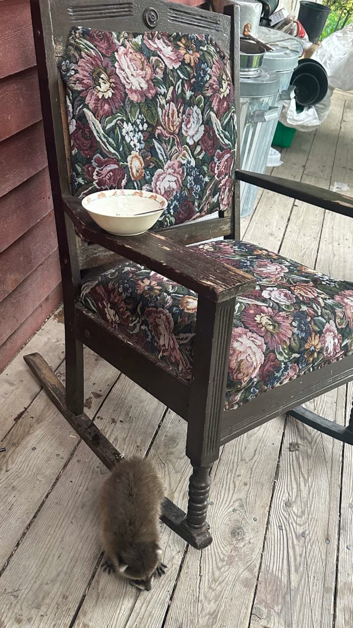 leonanaomii snapchat image archive image