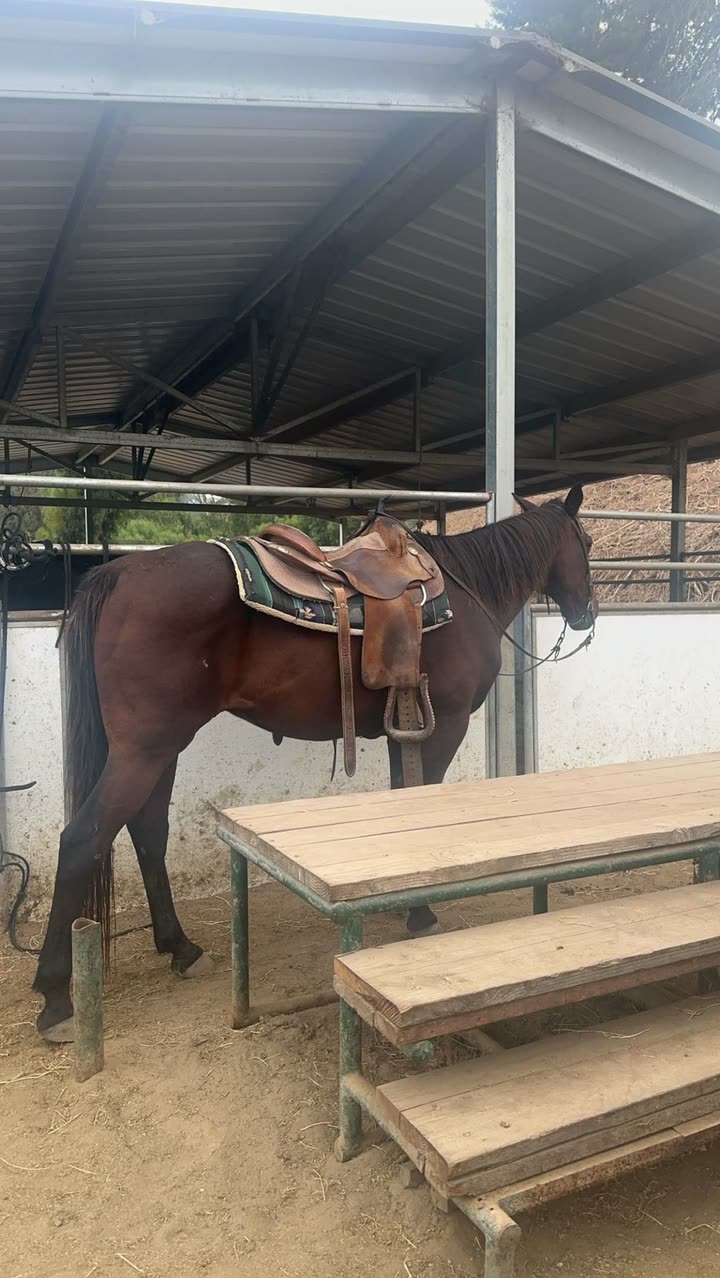 leonanaomii snapchat image archive image