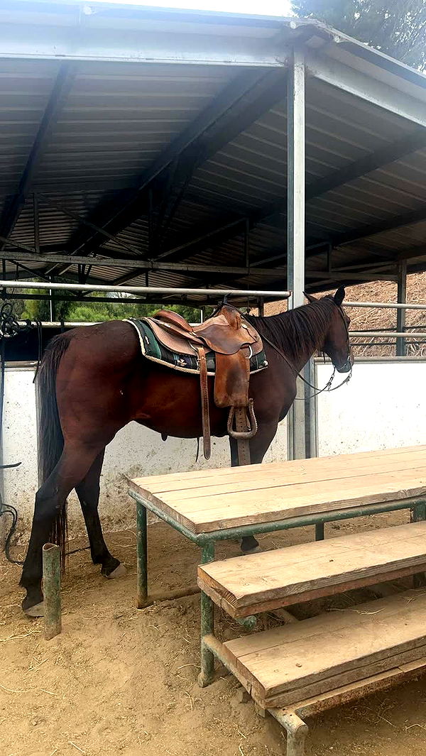 leonanaomii image ~ Altpins