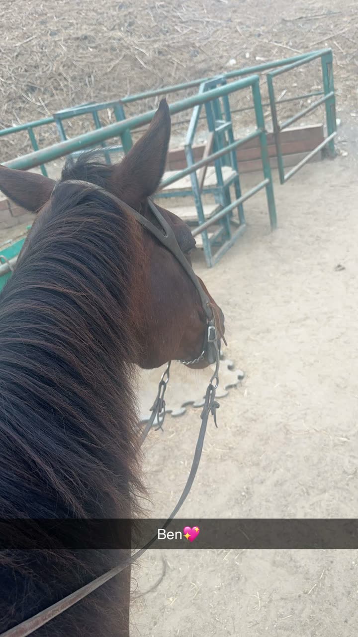 leonanaomii snapchat image archive image