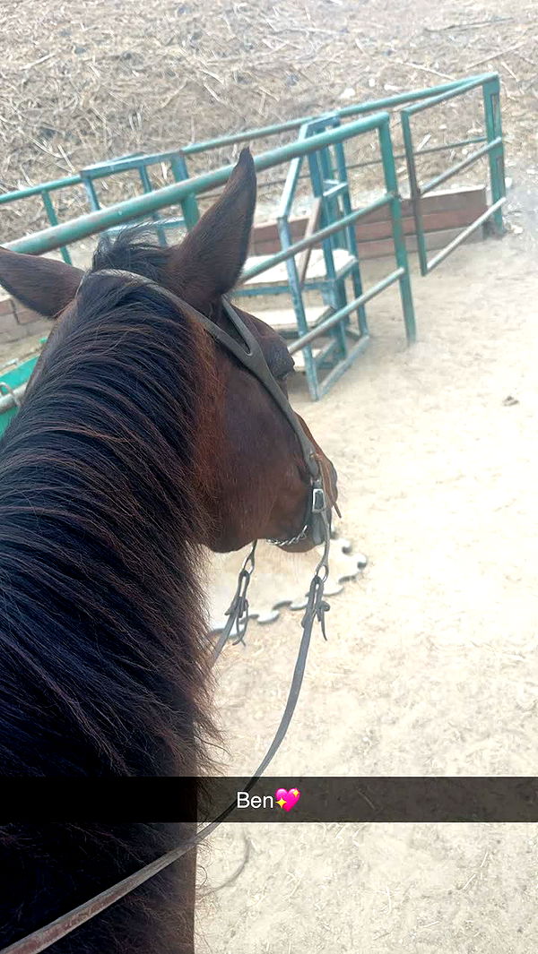 leonanaomii image ~ Altpins