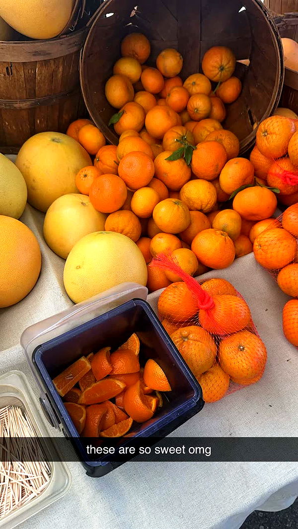 leonanaomii image ~ Altpins