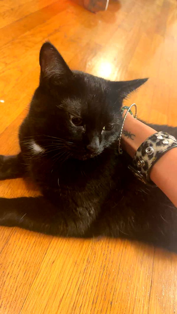 leonanaomii image ~ Altpins