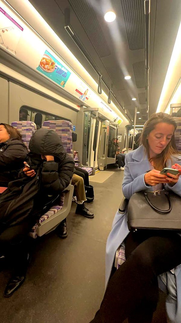 leonanaomii image ~ Altpins