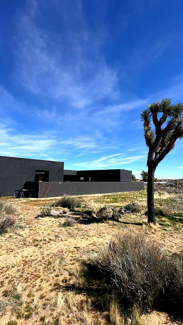 leonanaomii image ~ Altpins