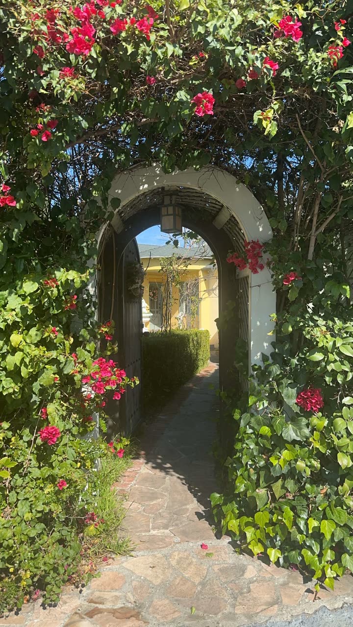 leonanaomii snapchat image archive image