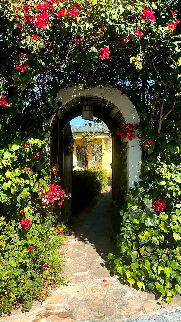 leonanaomii image ~ Altpins