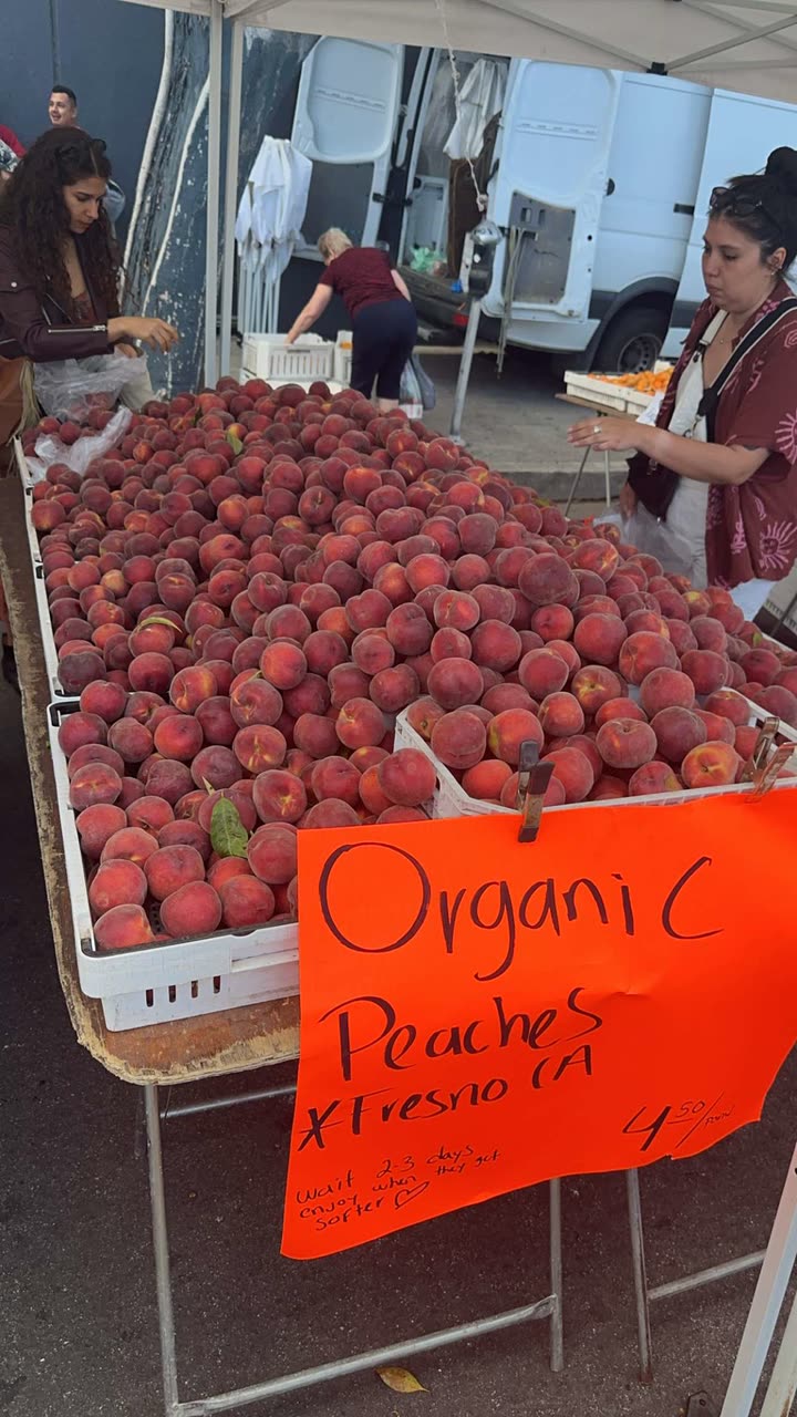 leonanaomii snapchat image archive image