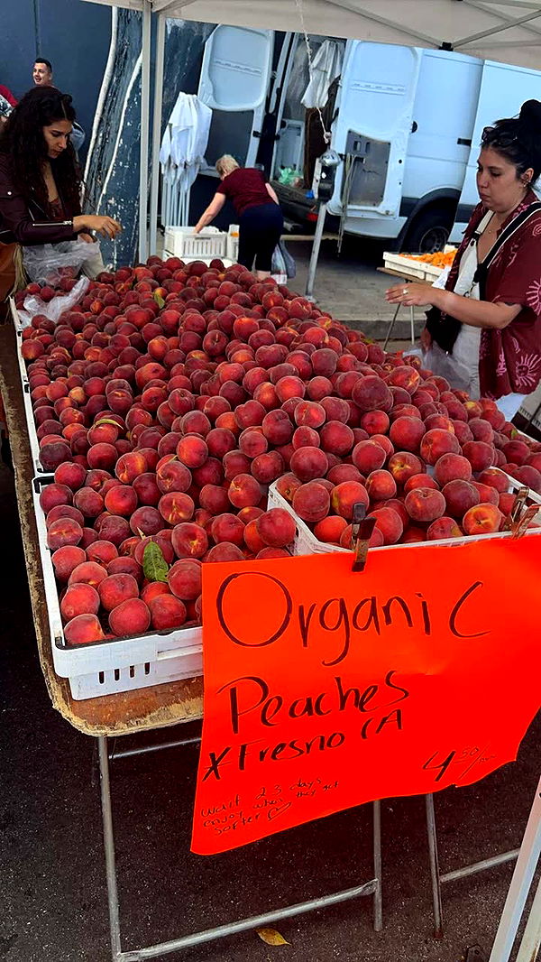 leonanaomii image ~ Altpins