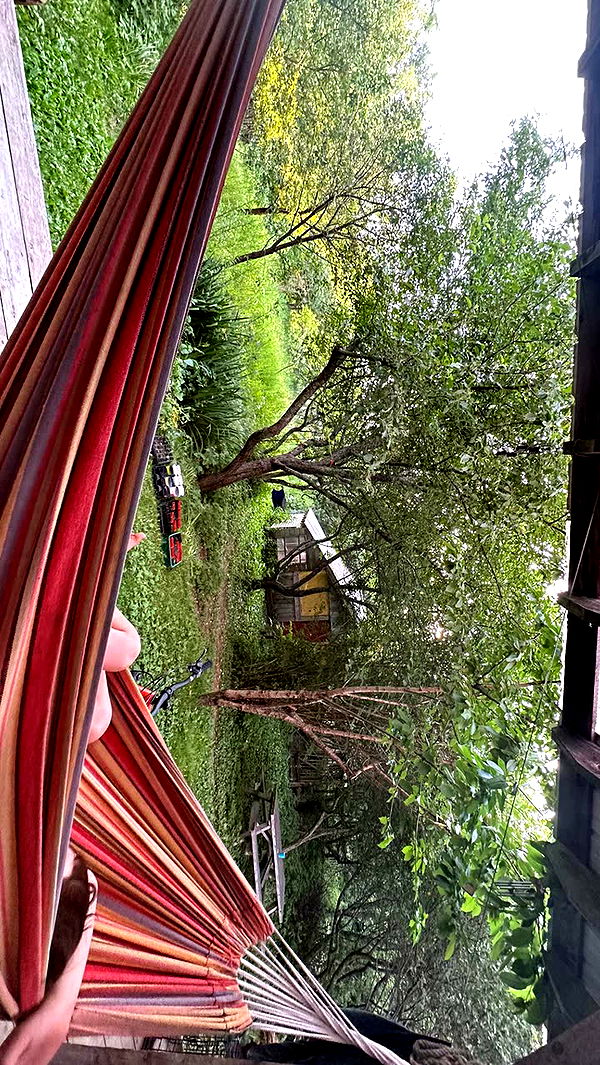 leonanaomii image ~ Altpins