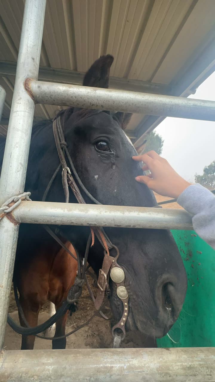 leonanaomii snapchat image archive image