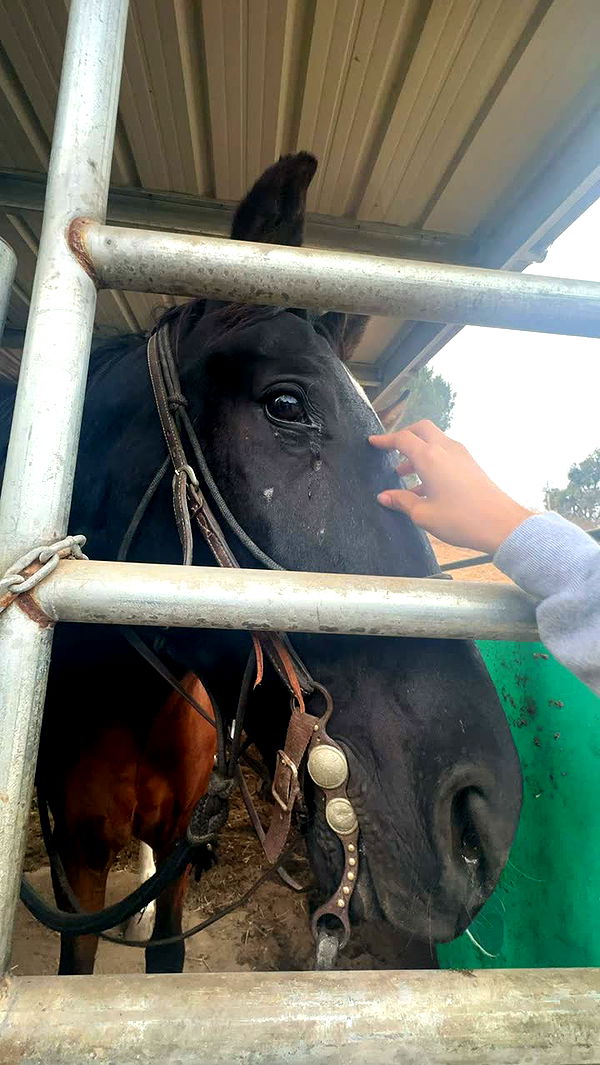 leonanaomii image ~ Altpins