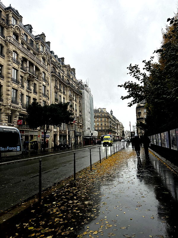 leonanaomii image ~ Altpins